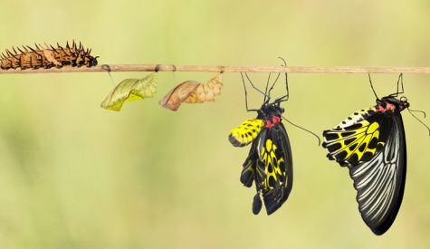 Cette grande transformation qui ébranle la communication