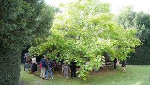 Retour en images de notre Partie de Jardin🪴